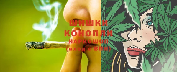 шишки Абинск